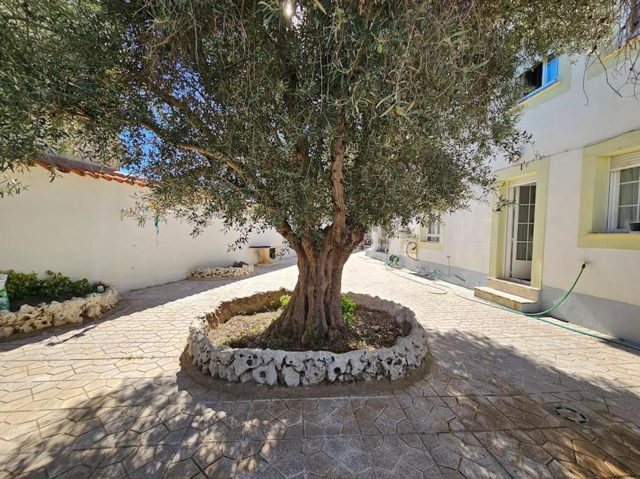 La Casa Del Arbol Villa Fuentiduena de Tajo Exteriör bild